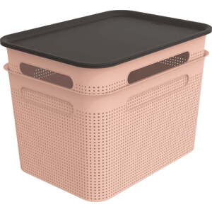 Světle růžové plastové úložné boxy s víkem v sadě 2 ks 26,5x36,5x26 cm Brisen – Rotho