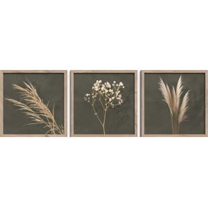 Sada plakátů v rámu 3 ks 30x30 cm Pampas – Styler