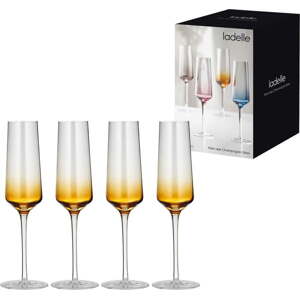 Skleničky na sekt v sadě 4 ks 240 ml Prism – Ladelle