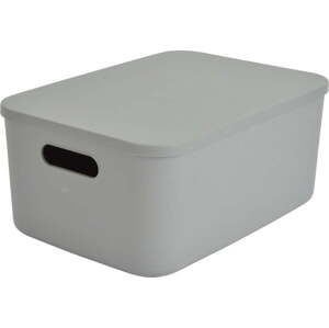 Světle zelený plastový úložný box s víkem 35,5x25,5x16 cm – Homéa