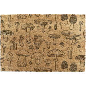 Rohožka z kokosového vlákna 40x60 cm Mushrooms – Artsy Doormats