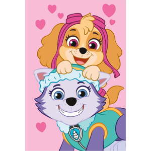 Fleecová dětská deka 100x150 cm Paw Patrol – Jerry Fabrics