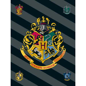 Fleecová dětská deka 100x150 cm Harry Potter – Jerry Fabrics