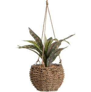 Umělá rostlina (výška 25 cm) – Casa Selección