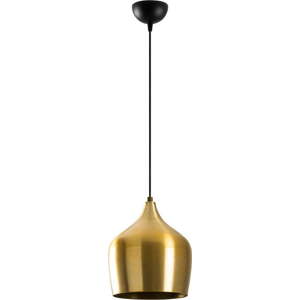 Závěsné svítidlo ve zlaté barvě s kovovým stínidlem ø 22 cm Dodo – Opviq lights