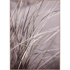 Plakát v rámu 50x70 cm Mellow Grasses 1 – Malerifabrikken