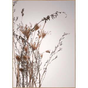 Plakát v rámu 50x70 cm Everlasting – Malerifabrikken
