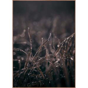 Plakát v rámu 50x70 cm Mellow Grasses 5 – Malerifabrikken