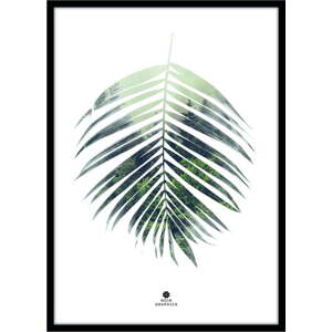 Plakát v rámu 50x70 cm Palm Leaf – Malerifabrikken