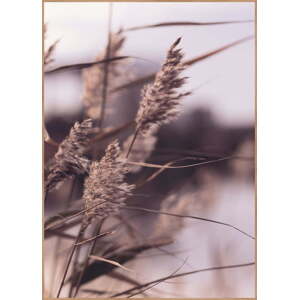 Plakát v rámu 50x70 cm Mellow Grasses 3 – Malerifabrikken