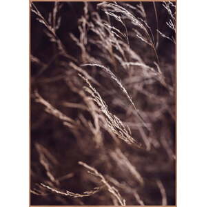 Plakát v rámu 50x70 cm Mellow Grasses 7 – Malerifabrikken