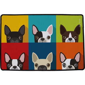 Rohožka 45x75 cm Which Frenchie – Butter Kings