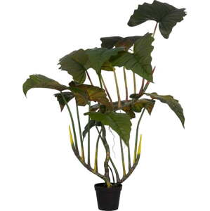 Umělá rostlina (výška 185 cm) Alocasia – Ixia