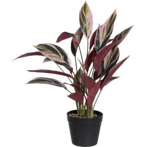 Umělá rostlina (výška 55 cm) Bird of Paradise – Ixia