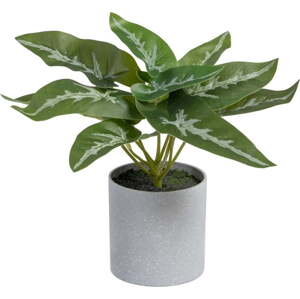 Umělá rostlina (výška 21 cm) Syngonium – Ixia