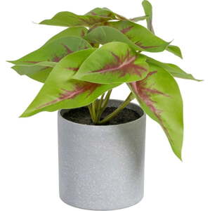 Umělá rostlina (výška 20 cm) Syngonium – Ixia