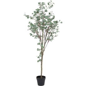 Umělý eukalyptus (výška 180 cm) Eucalyptus – Ixia