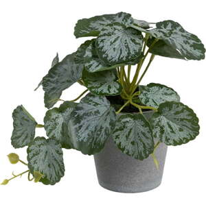 Umělá rostlina (výška 21,5 cm) Saxifraga – Ixia