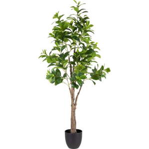 Umělá rostlina (výška 145 cm) Peperomia – Ixia