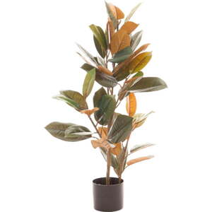 Umělý fíkus (výška 90 cm) Ficus – Ixia
