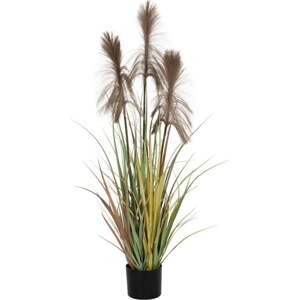 Umělá rostlina (výška 120 cm) – Ixia
