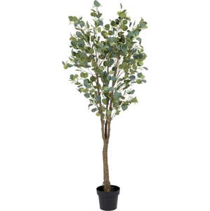Umělý eukalyptus (výška 173 cm) Eucalyptus – Ixia