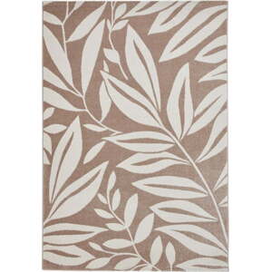 Světle hnědý koberec 80x150 cm Sorral Leaves – Catherine Lansfield