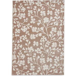 Světle hnědý koberec 80x150 cm Grace Floral – Catherine Lansfield