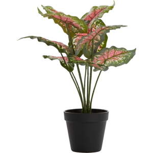 Umělá rostlina (výška 40 cm) Caladium – Light & Living