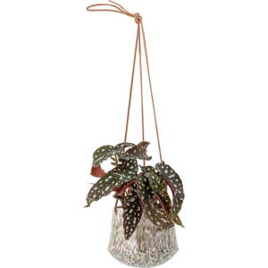 Kameninový závěsný ručně vyrobený obal na květináč ø 14 cm Ilda – Bloomingville