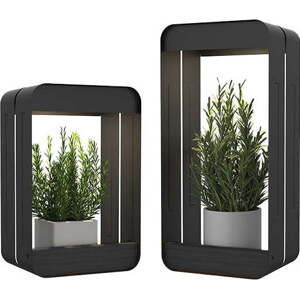 Stojany na květiny z oceli v sadě 2 ks (výška 34,5 cm) Aria – Garden Pleasure