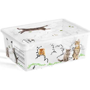 Bílý plastový úložný box s víkem 37x26x15 cm C Box Style – KIS