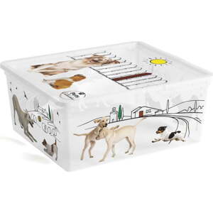 Bílý plastový úložný box s víkem 40x34x17 cm C Box Style – KIS