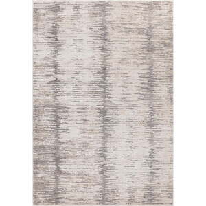 Koberec 200x300 cm Anders Grey – Asiatic Carpets