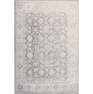 Světle šedý koberec 200x290 cm Muse Heritage Grey Silver – Asiatic Carpets