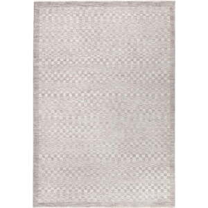 Šedobéžový koberec 240x320 cm Laurent Grey Silver – Asiatic Carpets