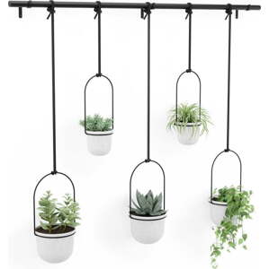 Závěsný plastový obal na květináč na bylinky 5 ks ø 7,5 cm Triflora – Umbra