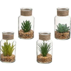 Umělé rostliny v sadě 4 ks (výška 12 cm) Cactus – Casa Selección
