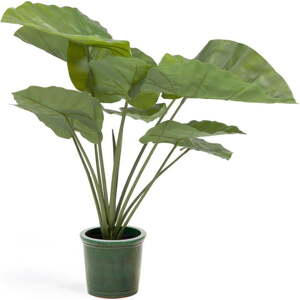 Umělá rostlina (výška 57 cm) Odora – Kave Home