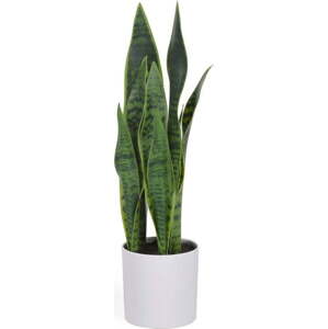 Umělá rostlina (výška 55 cm) Sansevieria – Kave Home