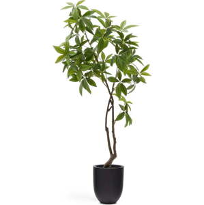 Umělá rostlina (výška 180 cm) Pachira – Kave Home