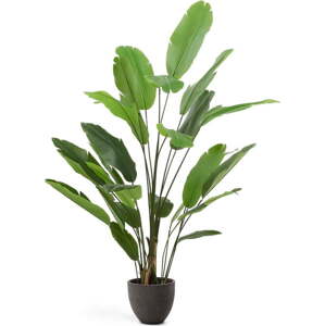 Umělý banánovník (výška 210 cm) – Kave Home