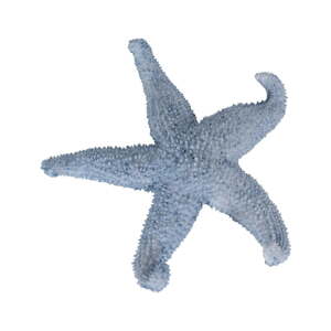 Soška z polyresinu (výška 5 cm) Star – Ixia