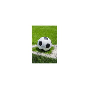 Zelená fleecová dětská deka 100x150 cm Football – Jerry Fabrics