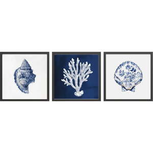 Obraz 30x30 cm Sea Treasure – Styler