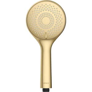 Plastová úsporná sprchová hlavice v matně zlaté barvě ø 11 cm Watersaving System – Wenko