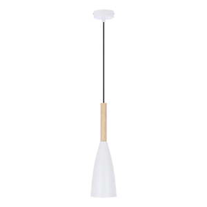 Závěsné svítidlo s kovovým stínidlem ø 10 cm Trosa – Candellux Lighting